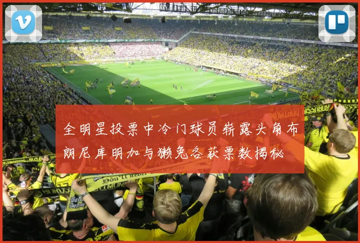 全明星投票中冷门球员崭露头角布朗尼库明加与獭兔各获票数揭秘